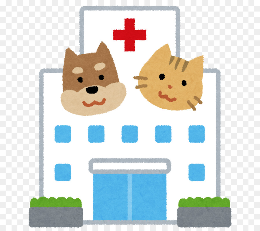PROCEDIMIENTO VETERINARIO