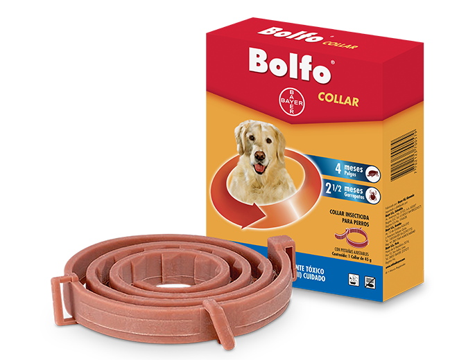 BOLFO COLLAR BAYER
