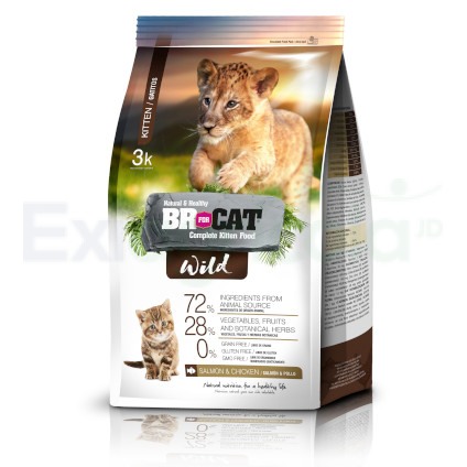 BR FORD CAT WILD KITTEN *1K