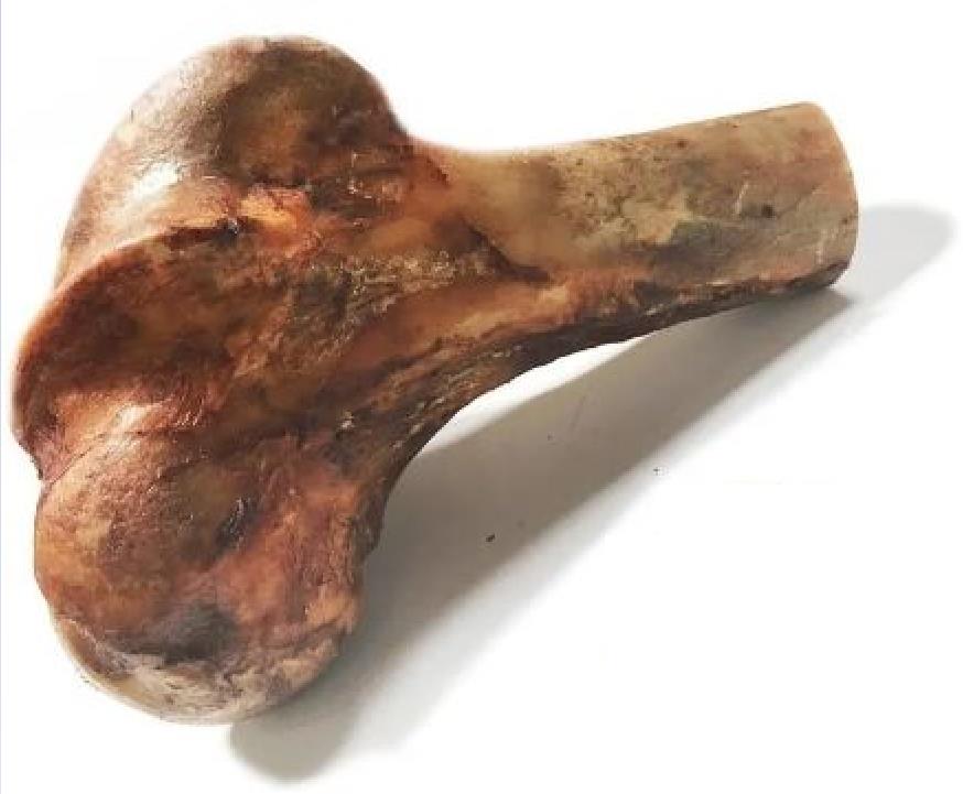 HUESO CALAMBOMBO MEDIO