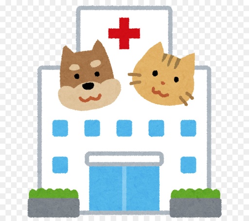 PROCEDIMIENTO VETERINARIO