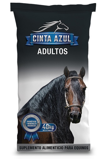 [916540] CINTA  AZUL ADULTOS  P.40K