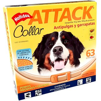 [11202007] COLLAR ATTACK 63CM