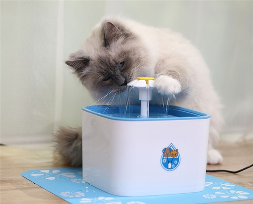 FUENTE Y DISPENSADOR DE AGUA