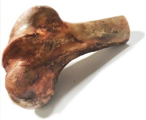 HUESO CALAMBOMBO MEDIO
