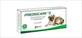 PREDNICARE * 20 MG X UND