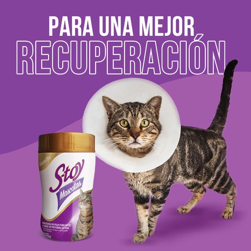 S-TOY GATOS  * 270 GR
