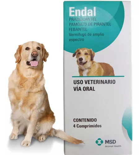 ENDAL X UND